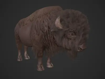 Bison Low-poly 3D model