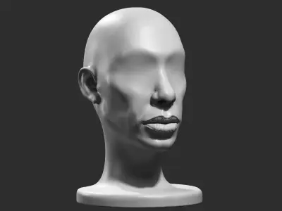 human head modern sculpture 3d print model 112 3D print model