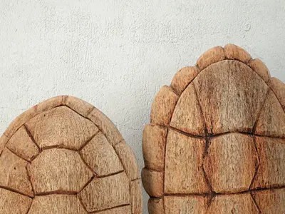 Sunset Cove Tortoise Shell Statues 3D model