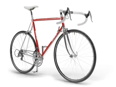 Retro  Racing Bicycle high detailed 3D model