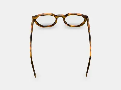 Tobias Eyeglasses in Woodgrain Tortoise Matte 3D model