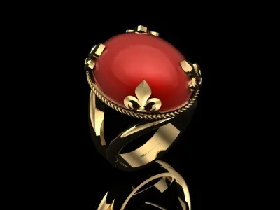 Women Ring 3D print model 38