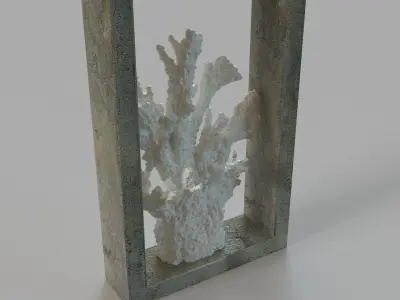 Finger Coral Shadowbox 3D model