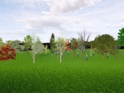 22 Trees - Pack  3D model 3D model