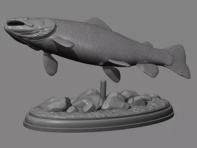 Brown trout fish on the base 3D print model