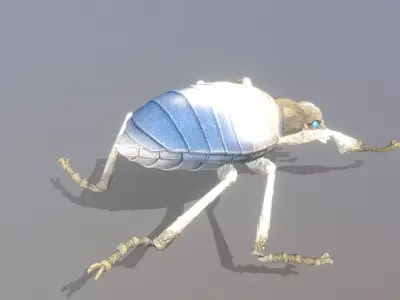 Gray Beetle Bug Walk Fbx Png 3D model
