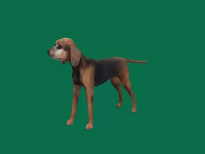 BloodHound Dog Low-poly 3D model
