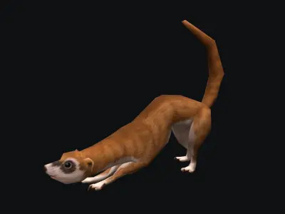 animated weasel Low-poly 3D model