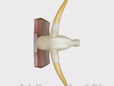 Longhorn Bull Trophy Western Heritage Model Low-poly 3D model