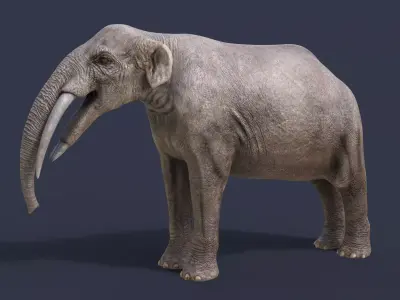 Gomphotherium steinheimense 3D model