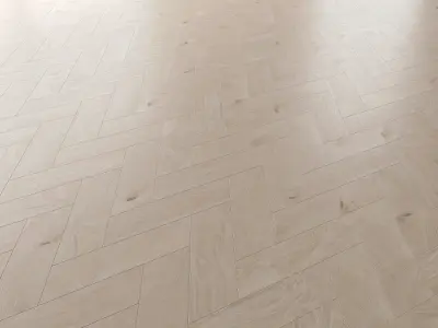 Parquet Oak Arctic NEW Brushed set 5 3D model
