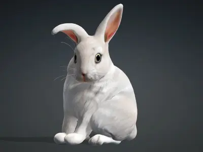 Rabbit-A2 3D model
