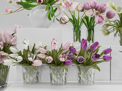 Tulip Flower Arrangement in Glass Vases 3D model