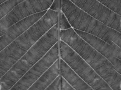 Set Decor 01 - DITIM 3D model