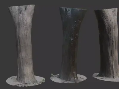 Tree Trunk 3D Scan Low-poly 3D model
