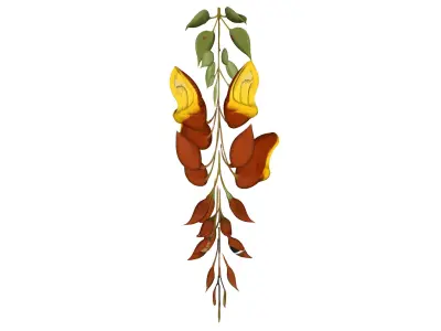 Thunbergia mysorensis 3D model