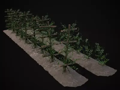 Crops Peas Plants Low-poly 3D model