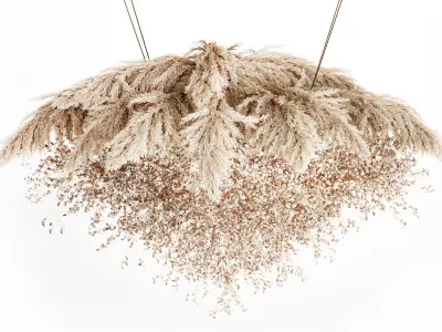 Hanging Installation Bouquet Dried Flowers Branch Lunaria pampas 3D model