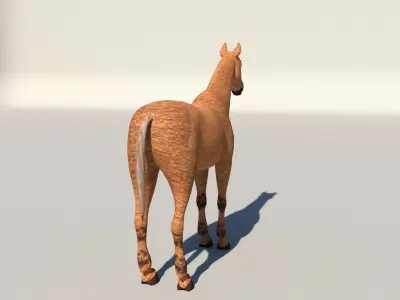 horse 3D model 31