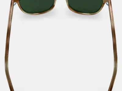 Durand Sunglasses in Oak Resin Matte 3D model