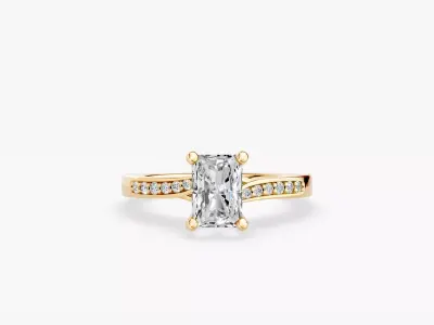 ZABS0018 RA engagement 3D print model