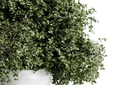 branches in a vase Bouquet 56 3D model