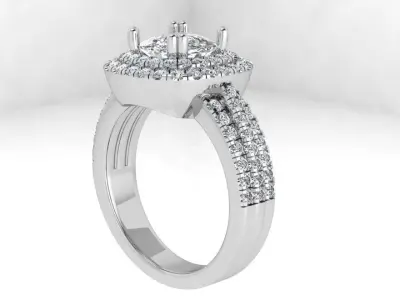 Double Halo Ring 4169 3D print model