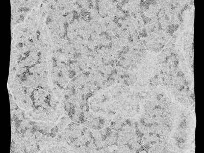 159-RockPanel rock wall texture 3D model