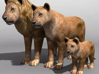 Lion Family 19838 Low-poly 3D model