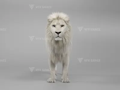 White Lion Animation - Blender 3D model