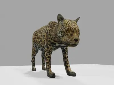 Jaguar - Ounce - Onca Pintada Low-poly 3D model