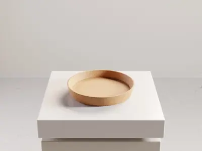 Cork Coaster for Coffee and Tea Cups Free low-poly 3D model