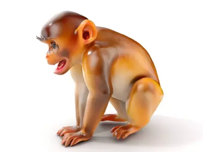 Baby Monkey D Model Pack  Realistic and Detailed Low-poly 3D model