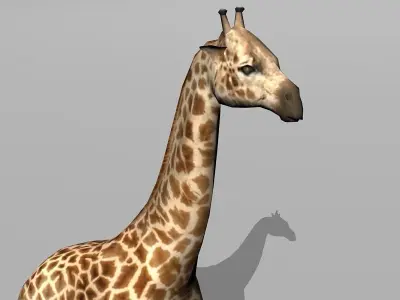 giraffe Low-poly 3D model