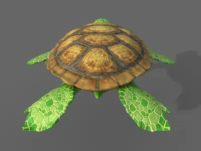 Turtle stylized Low-poly 3D model