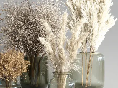 Collection Dry Plants Bouquet Indoor 09 3D model