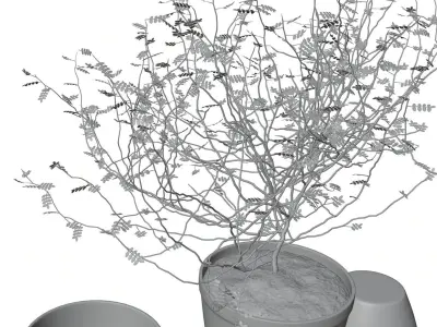 Decorative tree in a pot HG2 3D model