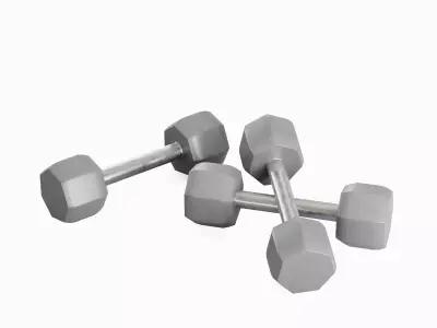 Steel Dumbbell 02 Low-poly 3D model