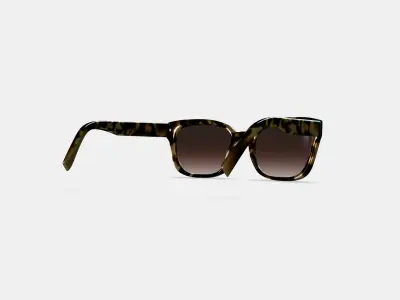 Aubrey Sunglasses in Marzipan Tortoise 3D model