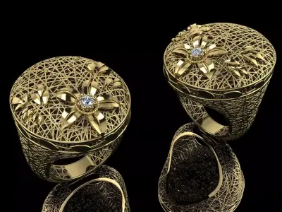 Ultra Vision Ring 3D print model get