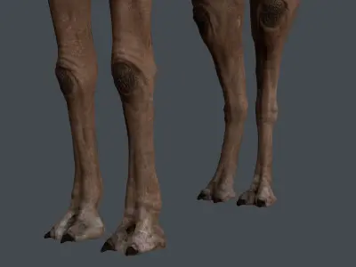 Camel   in game Low-poly 3D model