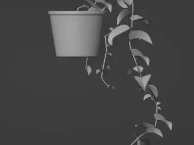 vine plant  Free 3D model
