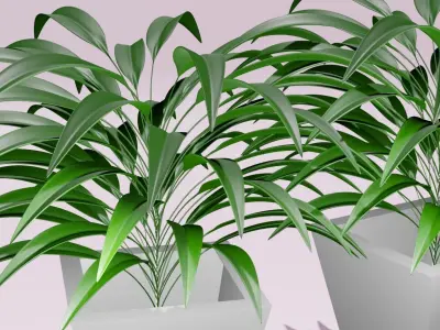 plant two plants in pot Free low-poly 3D model