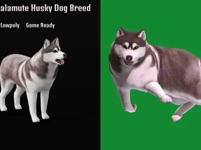 Alaskan Malamute Husky Dog Low-poly 3D model