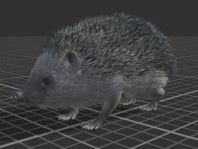 Hedgehog Low-poly 3D model