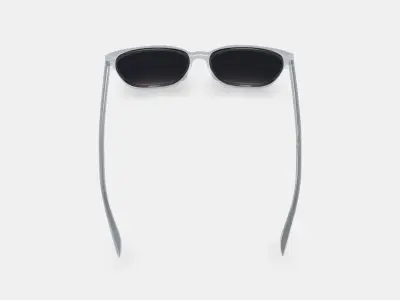 Esme Sunglasses in Crystal 3D model