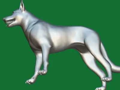 Australian Kelpie Dog 3D model