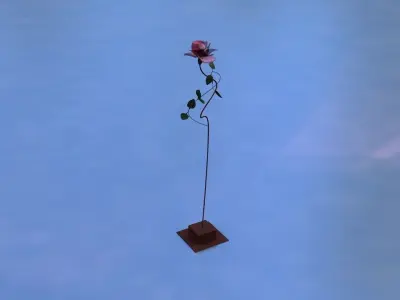 Light rose Free 3D model