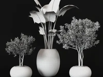 Plant Collection 001 Low-poly 3D model