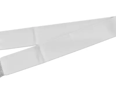 Football Fan Scarf 03 3D model